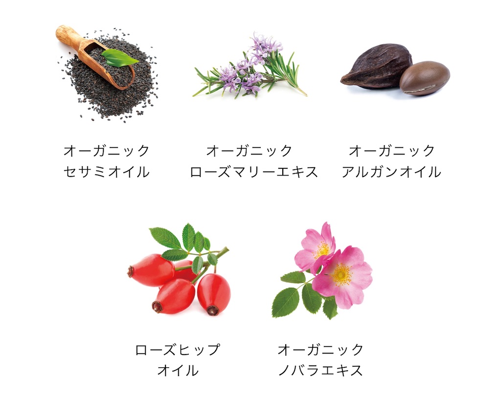 f:id:chankotochan:20230306021734j:image