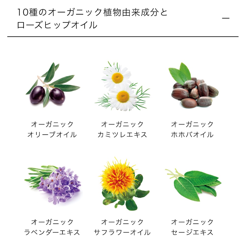 f:id:chankotochan:20230306021742j:image