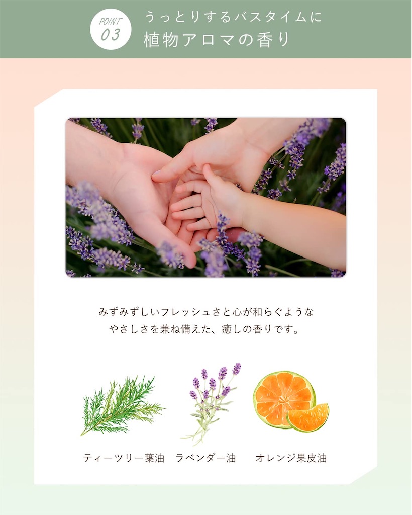 f:id:chankotochan:20230423203036j:image f:id:chankotochan:20230423203036j:image