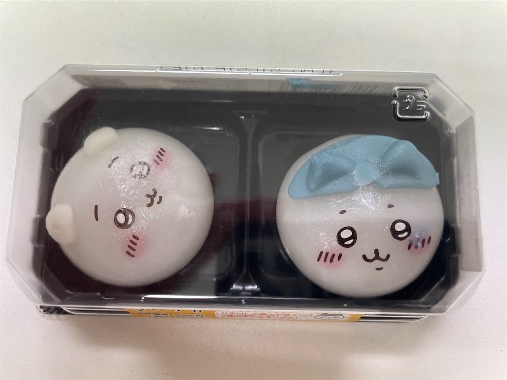 f:id:chankotochan:20230604000157j:image
