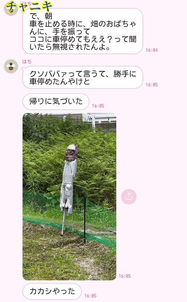 f:id:chankotochan:20230607062241j:image