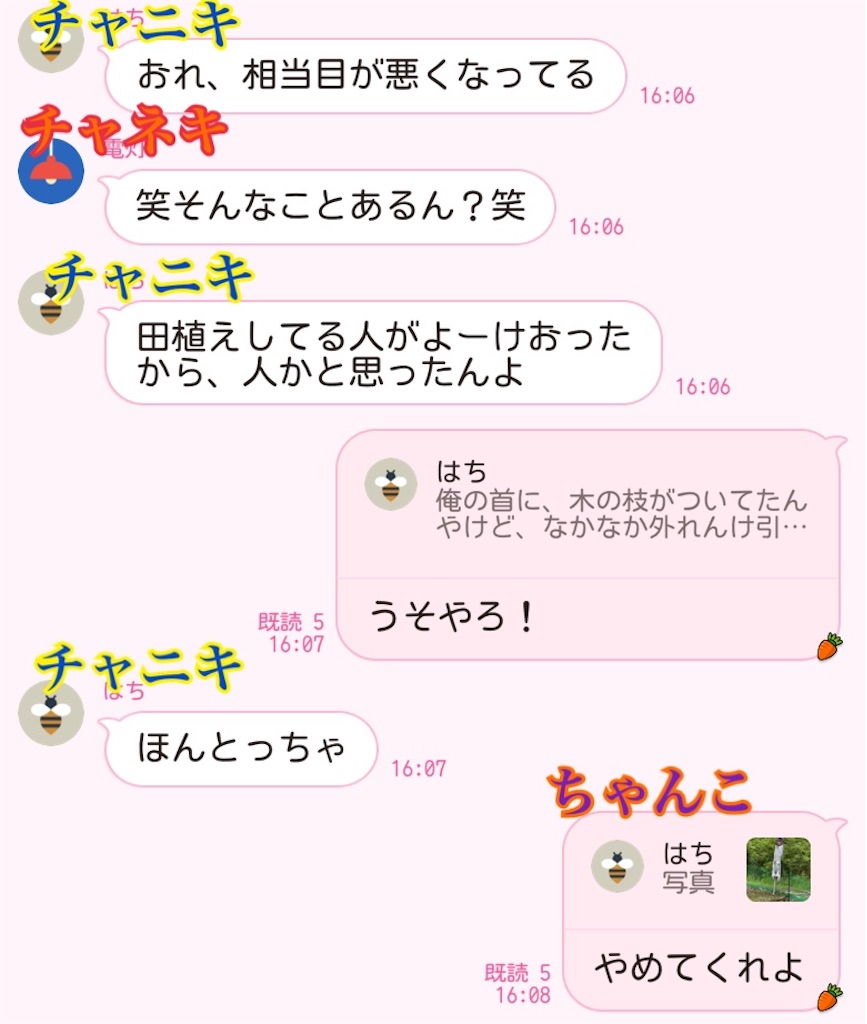 f:id:chankotochan:20230607062244j:image