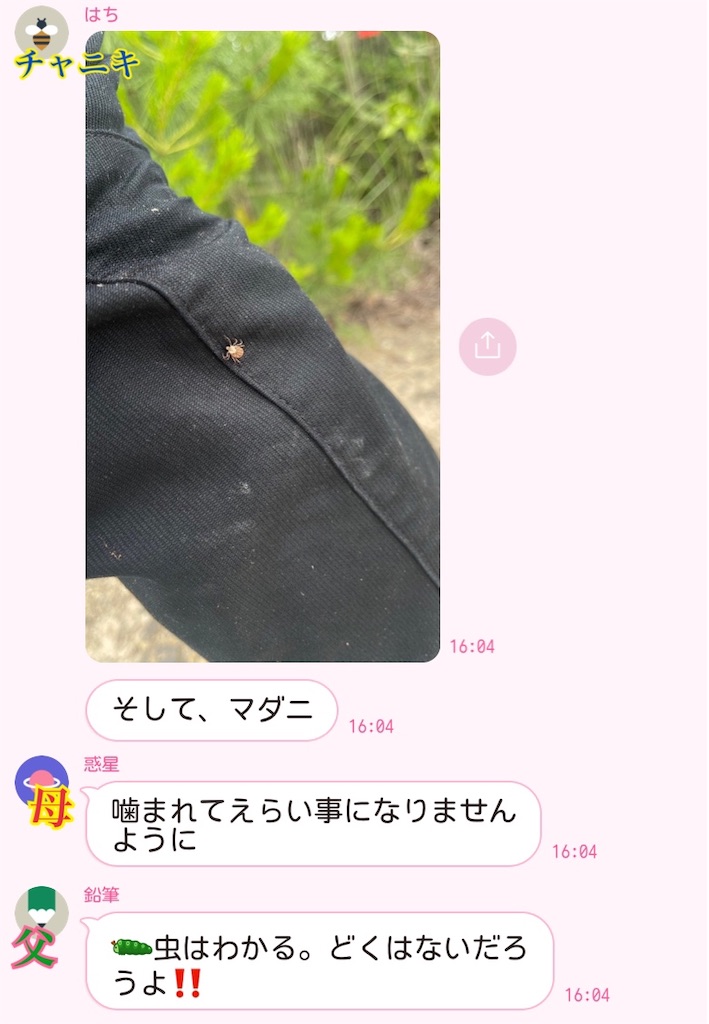 f:id:chankotochan:20230607062250j:image