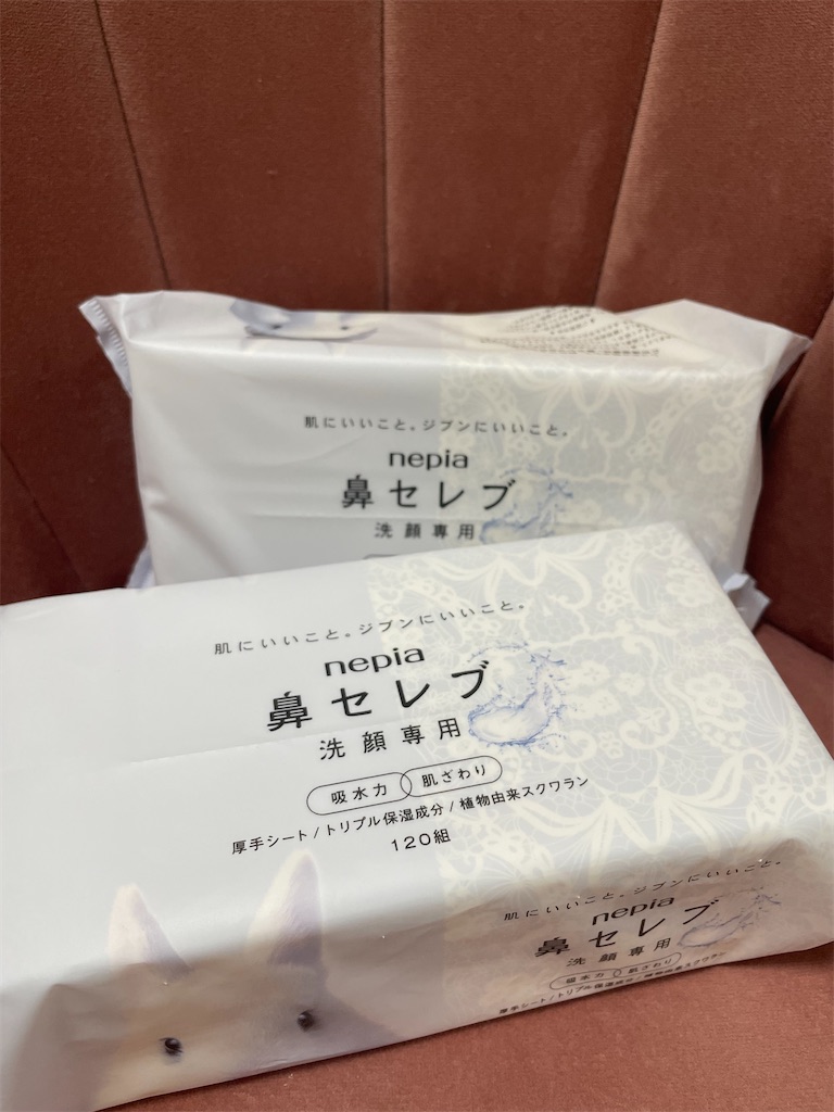 f:id:chankotochan:20230607090435j:image