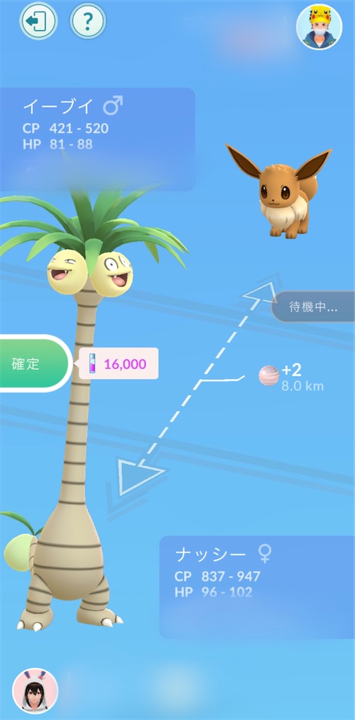 f:id:chankotochan:20230607092151j:image