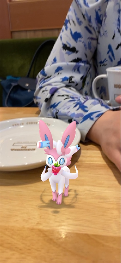 f:id:chankotochan:20230607092217j:image