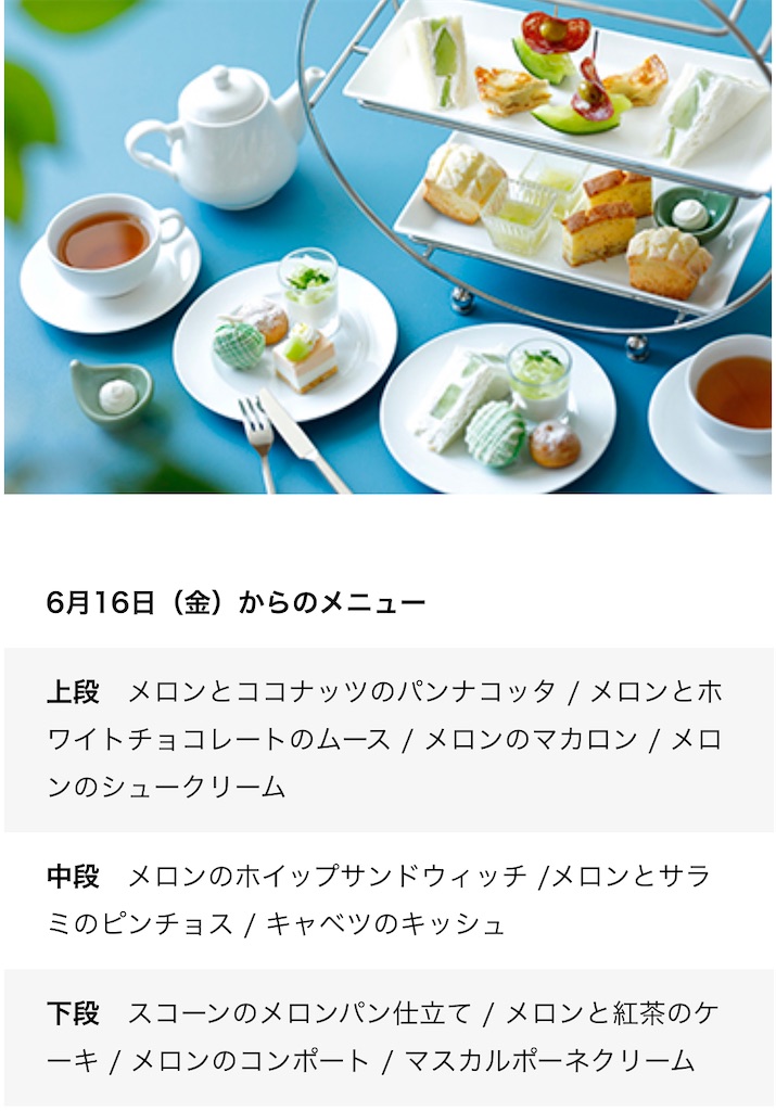 f:id:chankotochan:20230611141002j:image