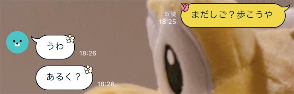 f:id:chankotochan:20230620224815j:image