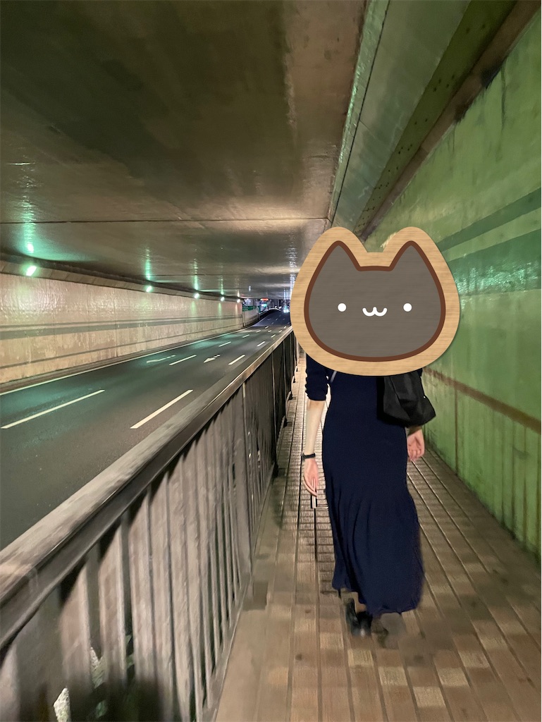 f:id:chankotochan:20230621151047j:image