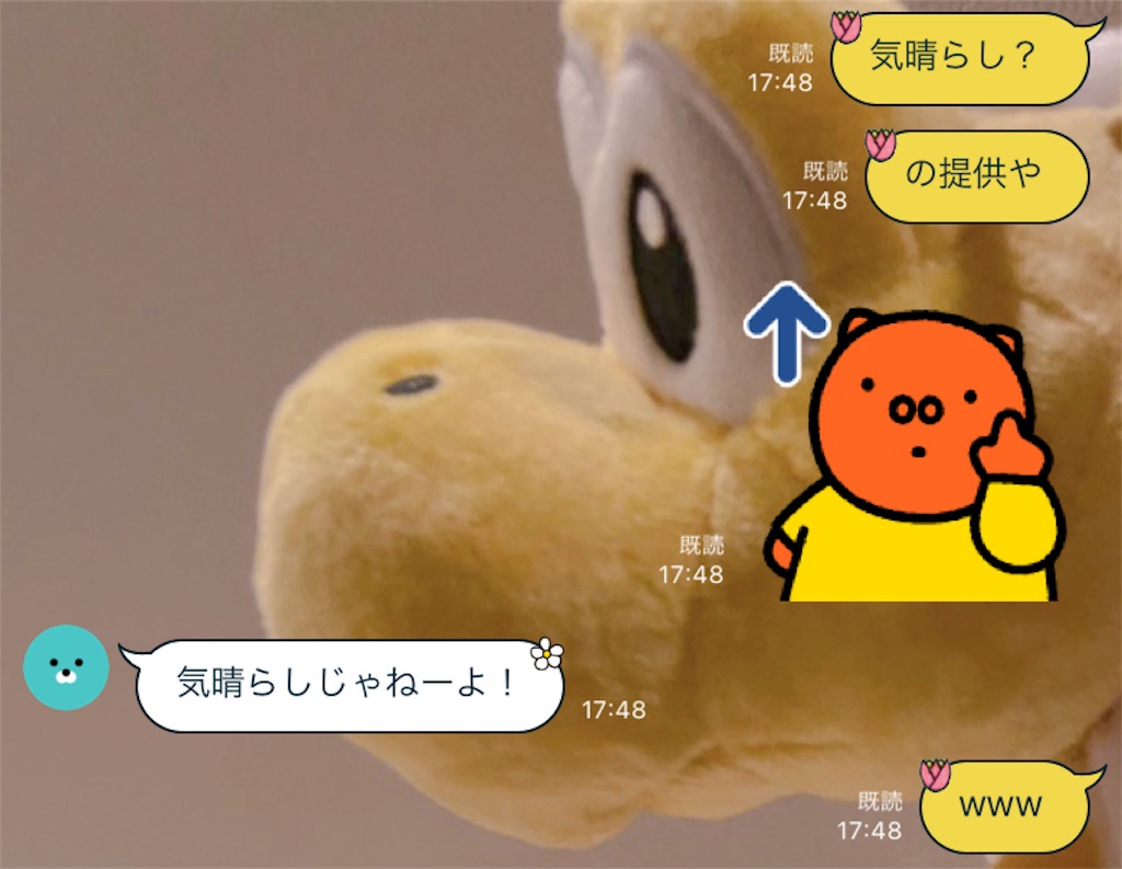 f:id:chankotochan:20230705193323j:image