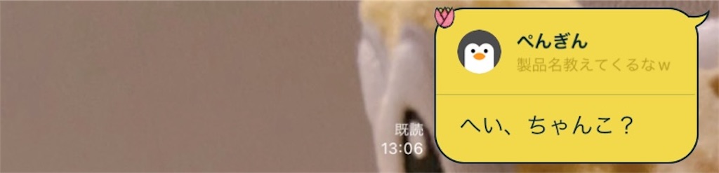f:id:chankotochan:20230705193326j:image