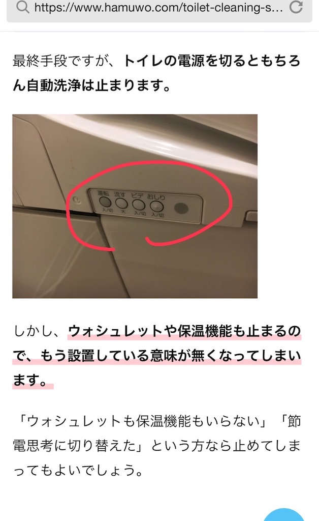 f:id:chankotochan:20230705204227j:image