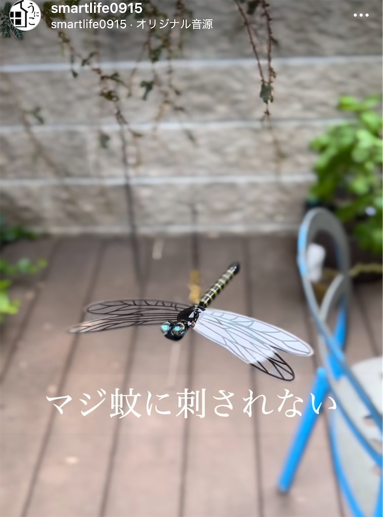 f:id:chankotochan:20230727091850j:image