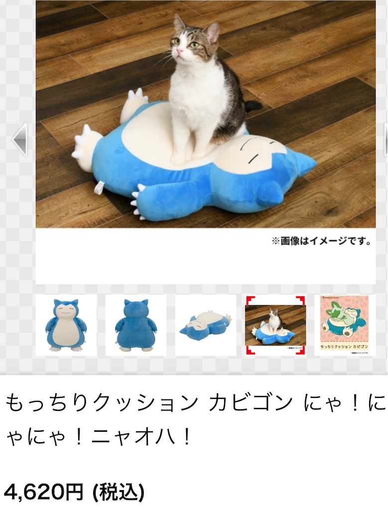 f:id:chankotochan:20230731081402j:image