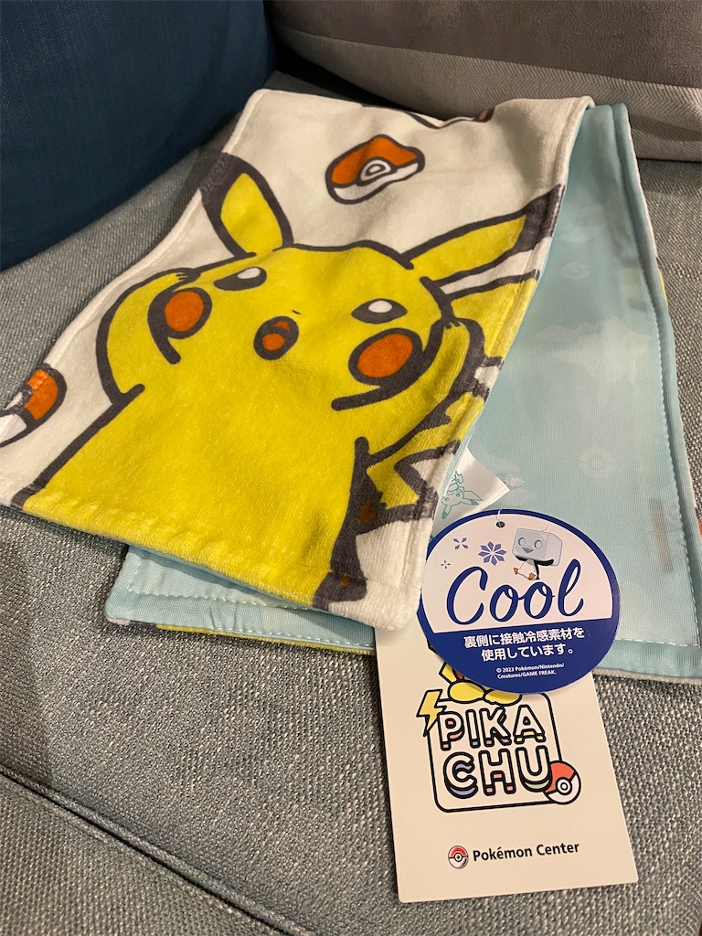 f:id:chankotochan:20230812082020j:image