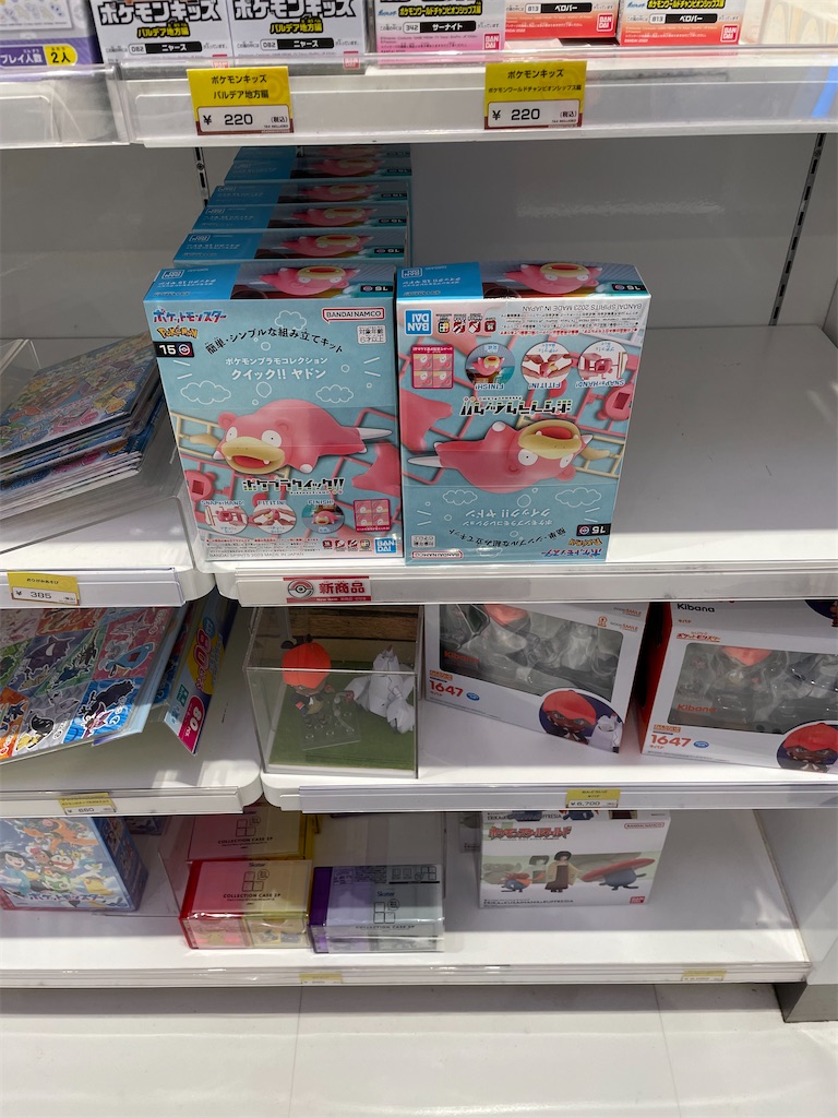 f:id:chankotochan:20230812082046j:image