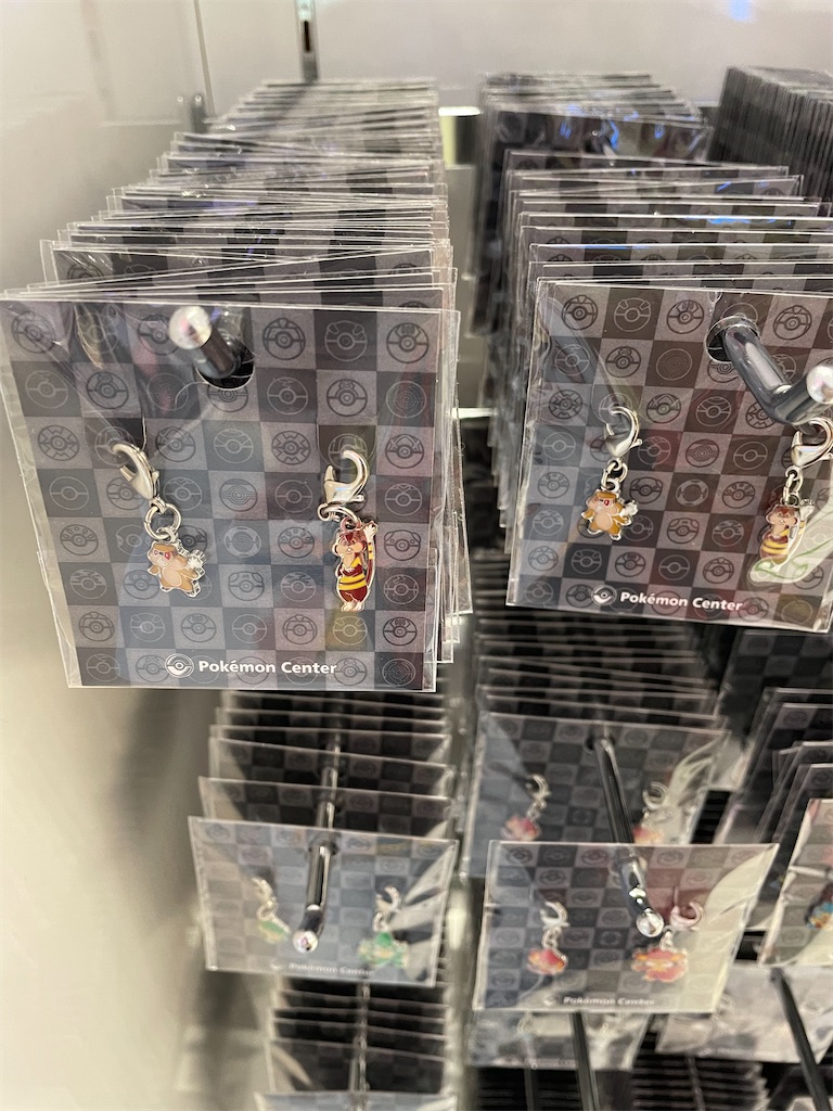 f:id:chankotochan:20230812082051j:image