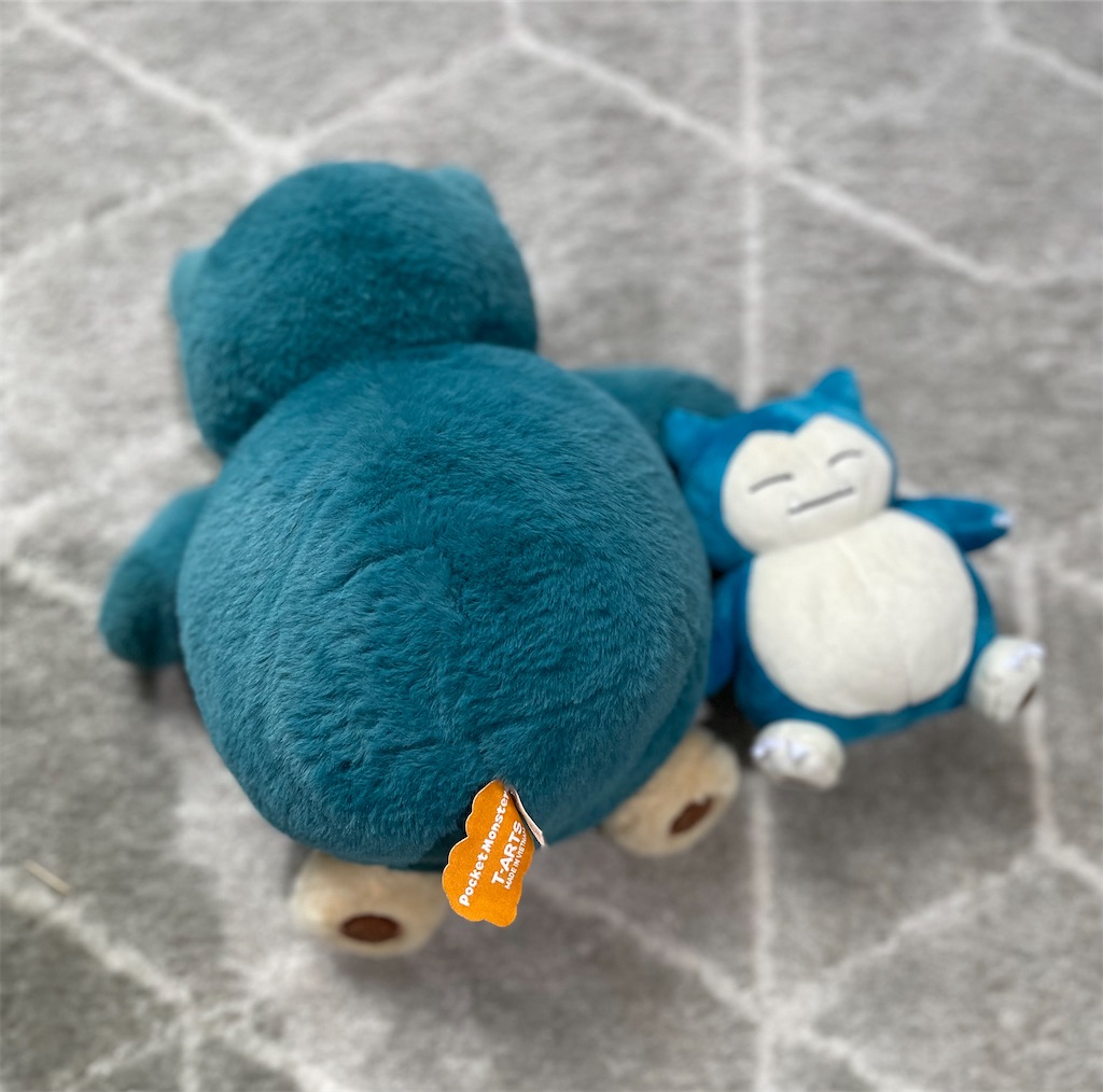 f:id:chankotochan:20230812082054j:image