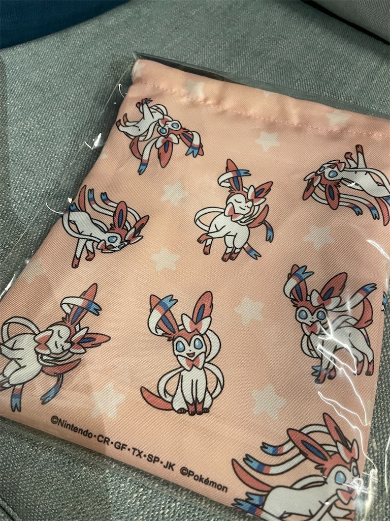 f:id:chankotochan:20230812082059j:image