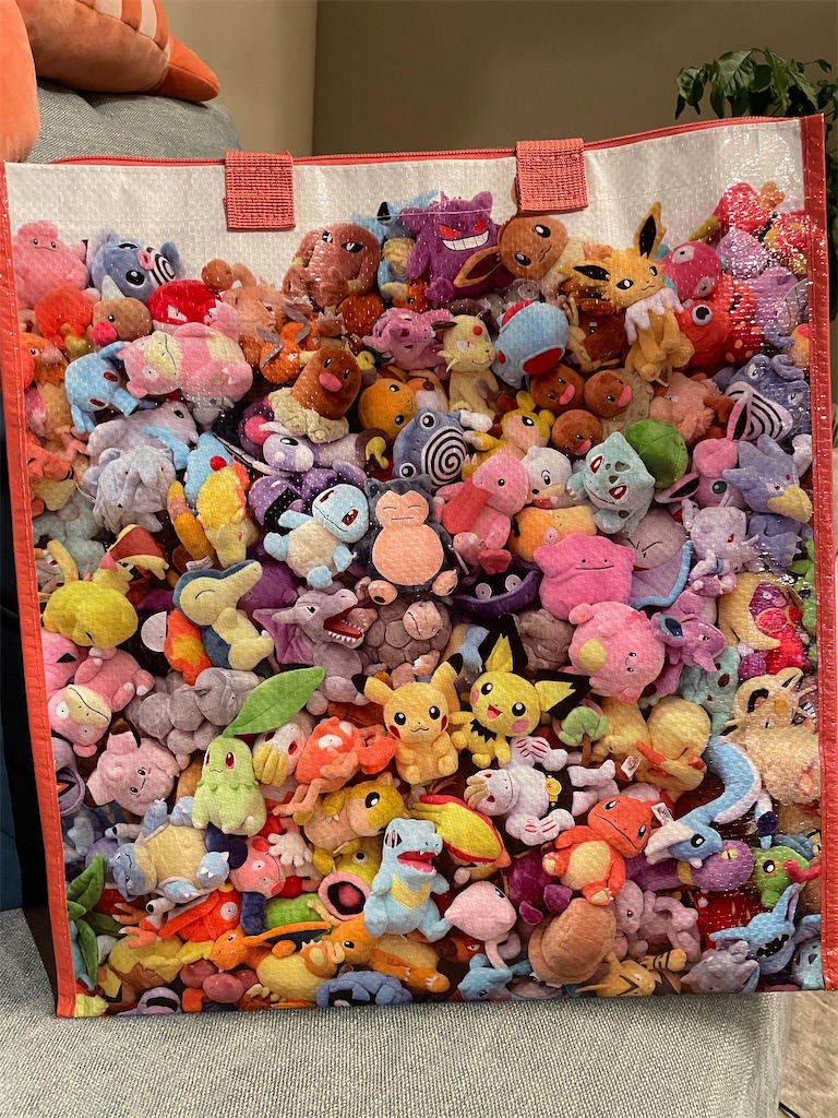 f:id:chankotochan:20230812082101j:image