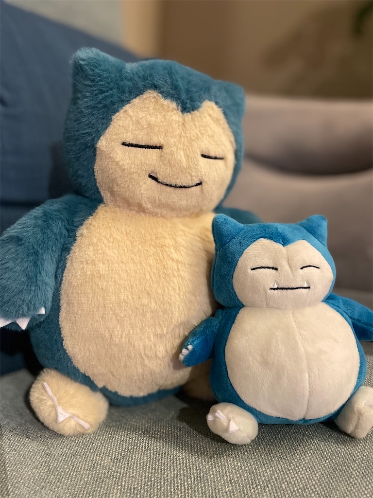 f:id:chankotochan:20230812082131j:image