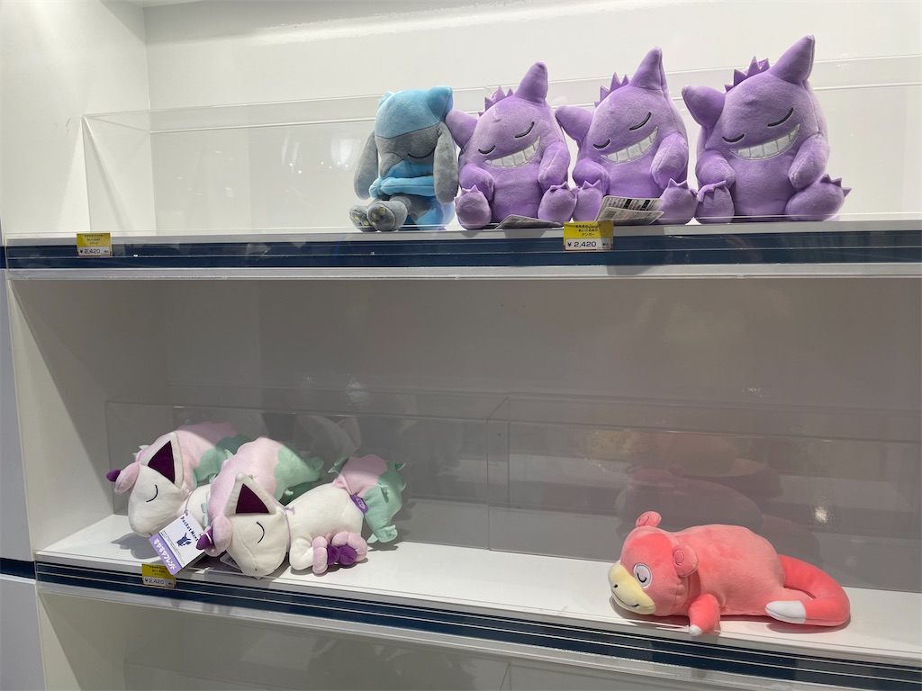 f:id:chankotochan:20230812082135j:image