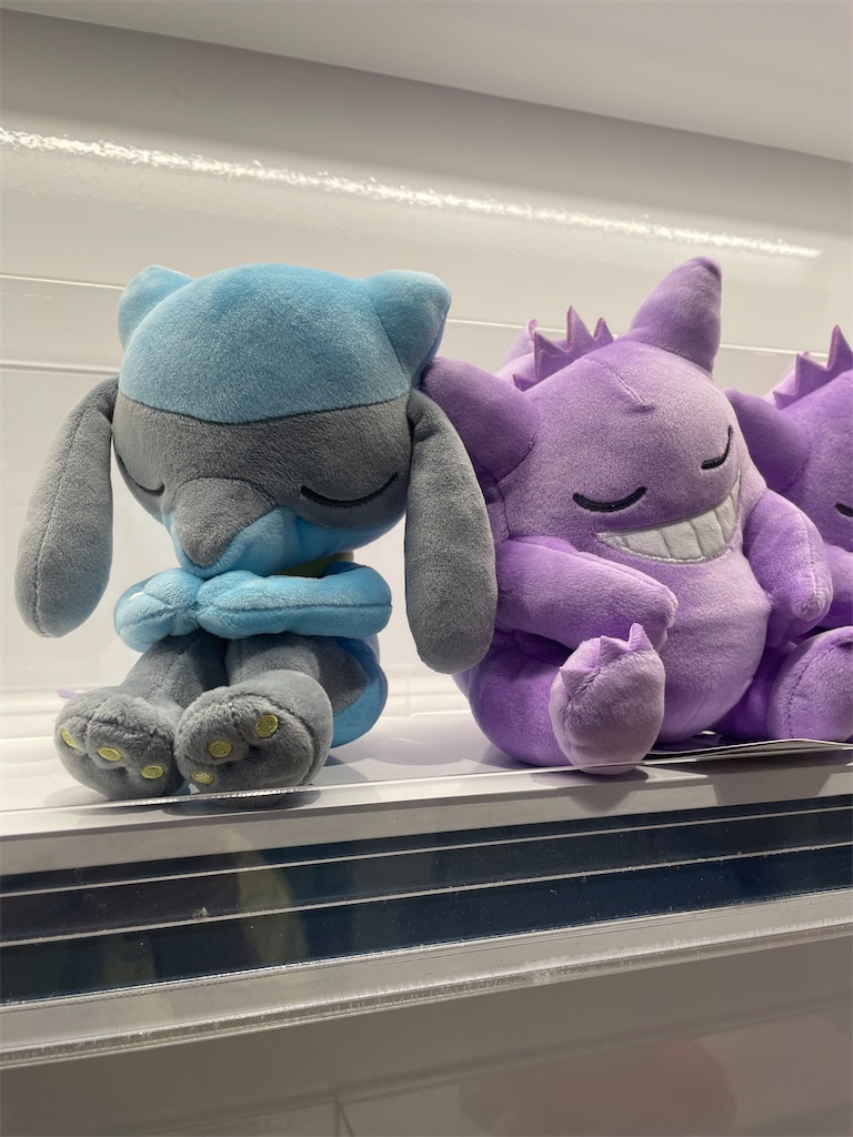 f:id:chankotochan:20230812084524j:image