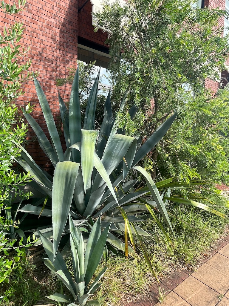 f:id:chankotochan:20230818085946j:image f:id:chankotochan:20230818085946j:image