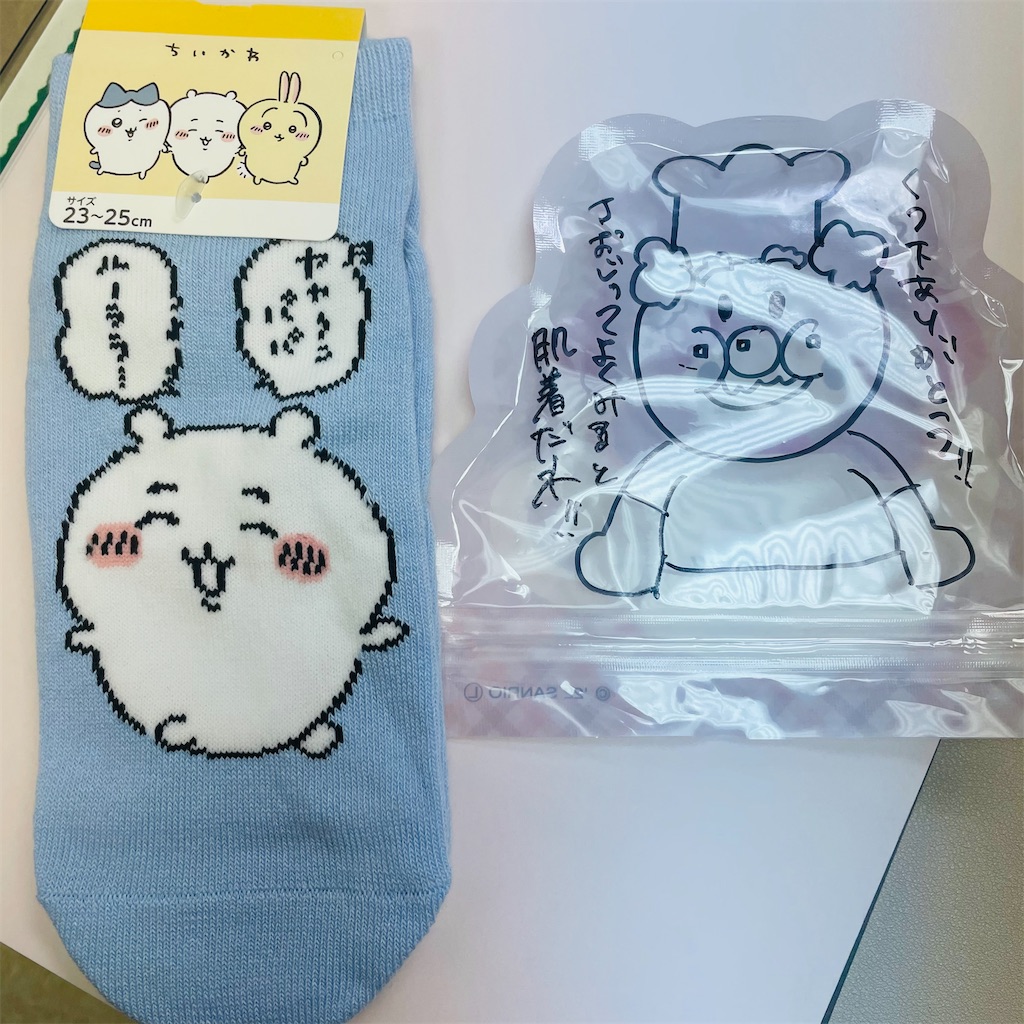 f:id:chankotochan:20230820022101j:image