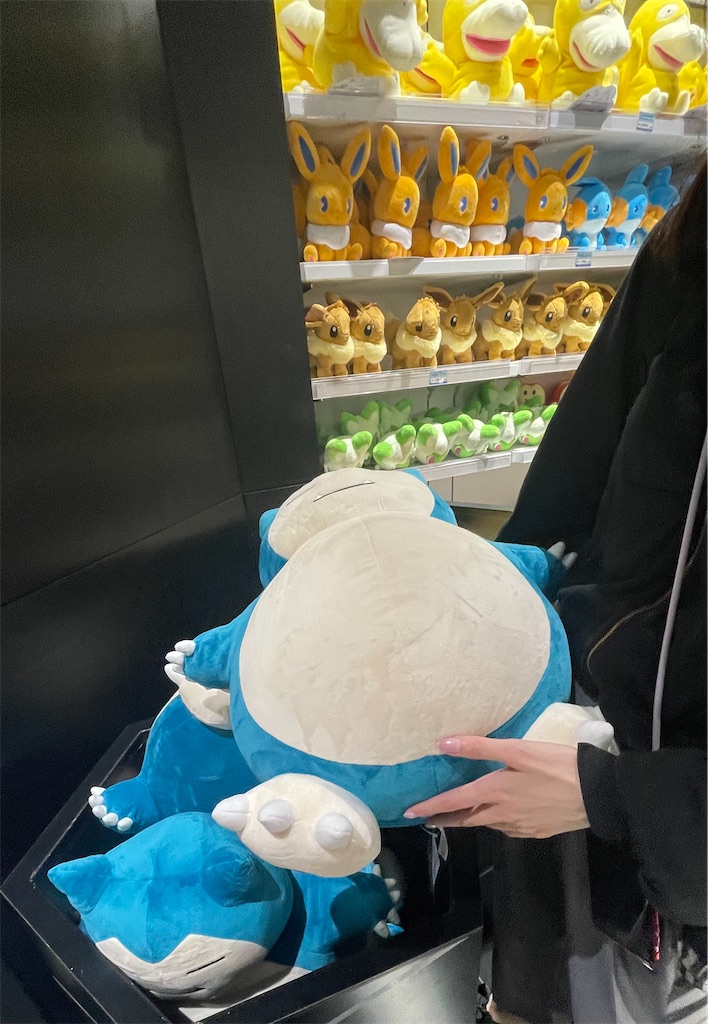 f:id:chankotochan:20230821102555j:image
