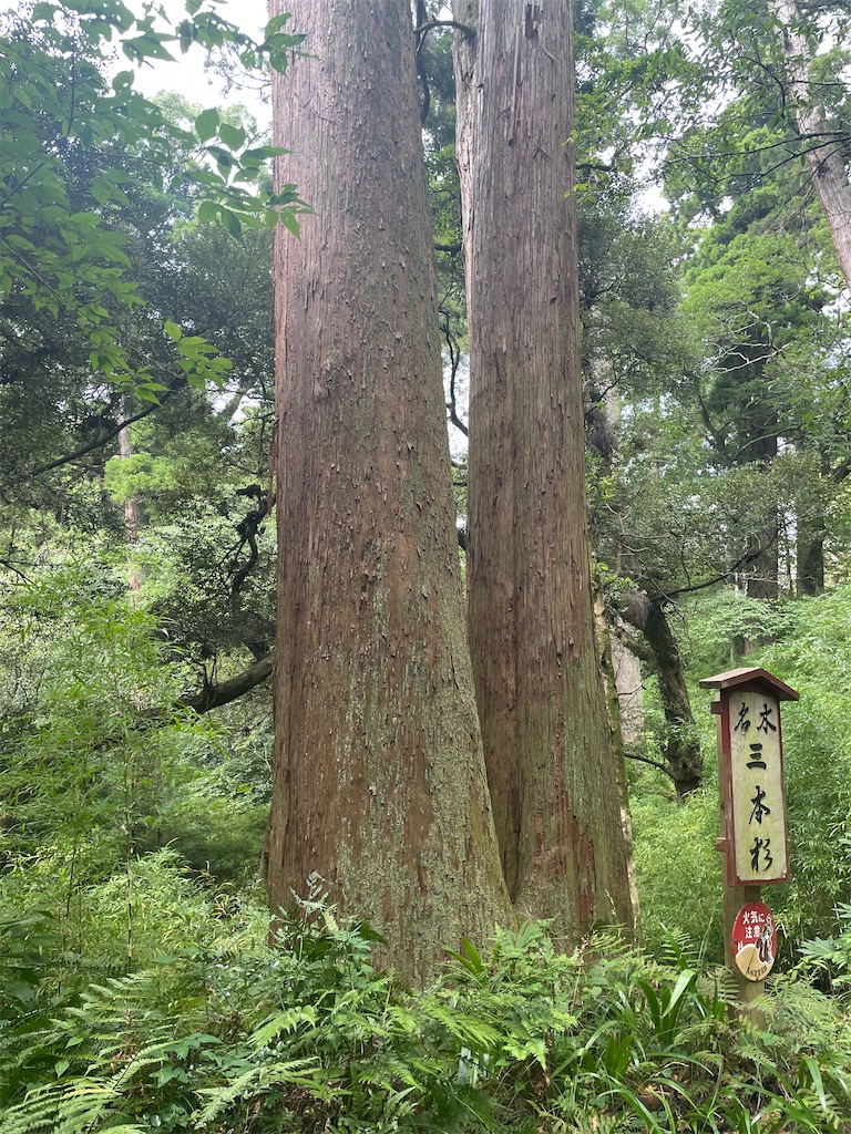 f:id:chankotochan:20230922084512j:image f:id:chankotochan:20230922084512j:image