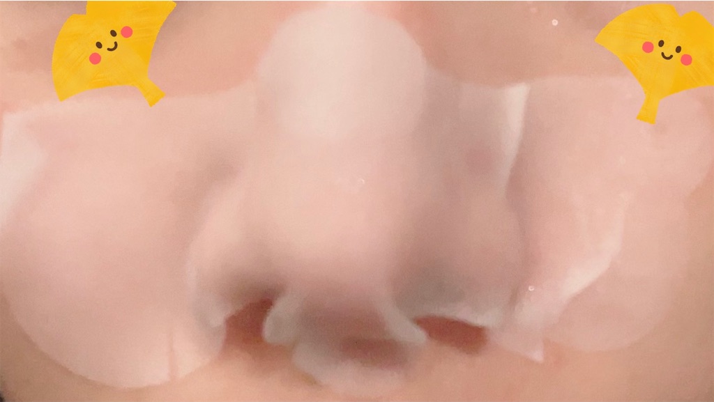 f:id:chankotochan:20231127082628j:image