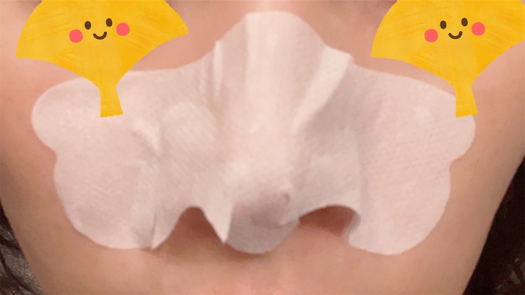 f:id:chankotochan:20231127082646j:image