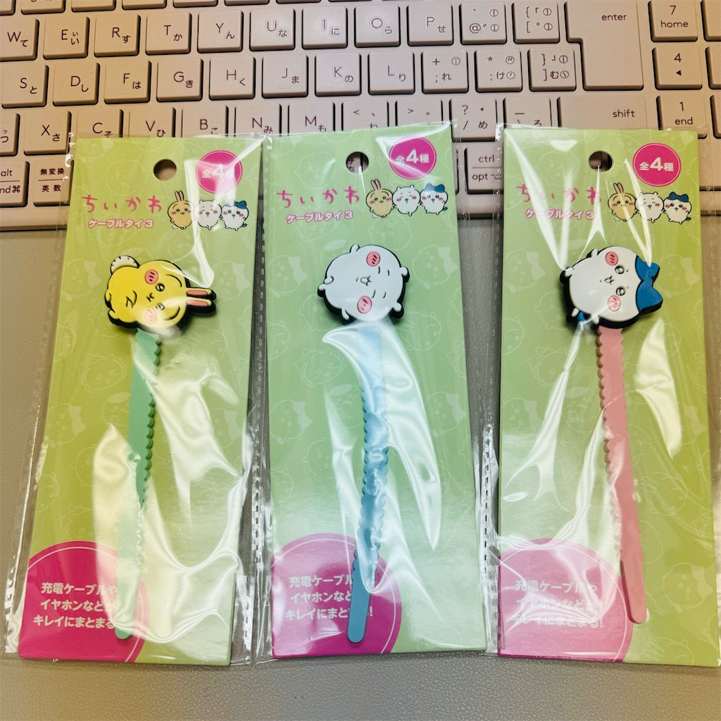 f:id:chankotochan:20231128104614j:image