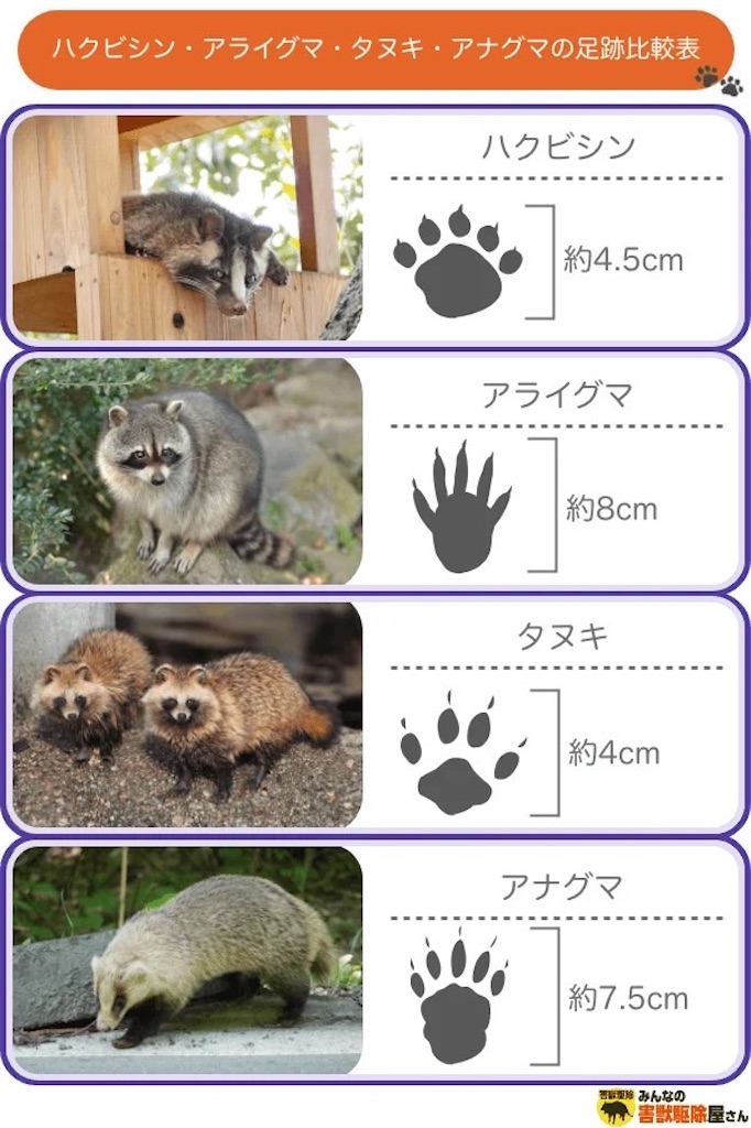 f:id:chankotochan:20240110140307j:image f:id:chankotochan:20240110140307j:image
