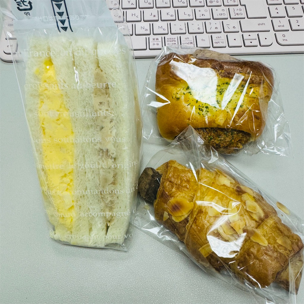 f:id:chankotochan:20240131110314j:image