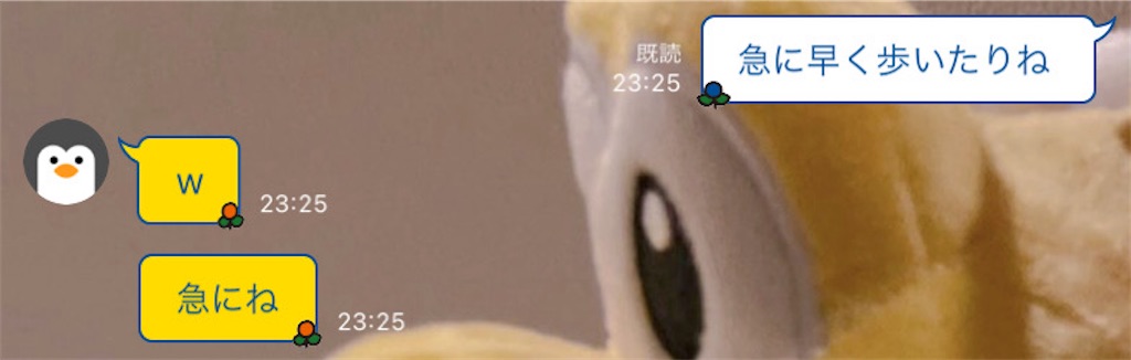 f:id:chankotochan:20240212201248j:image