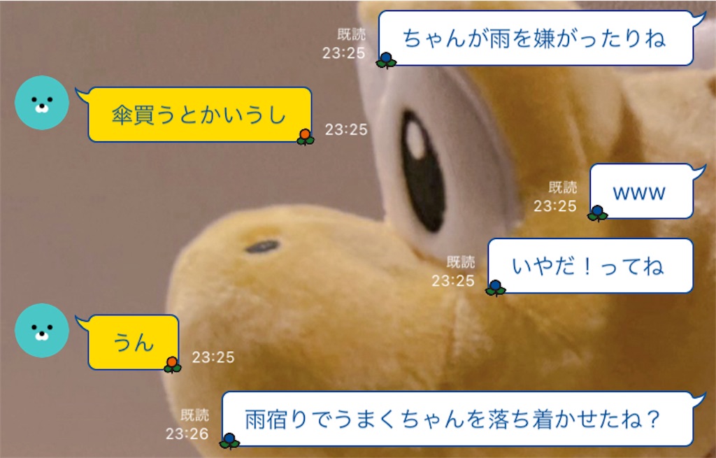 f:id:chankotochan:20240212201321j:image