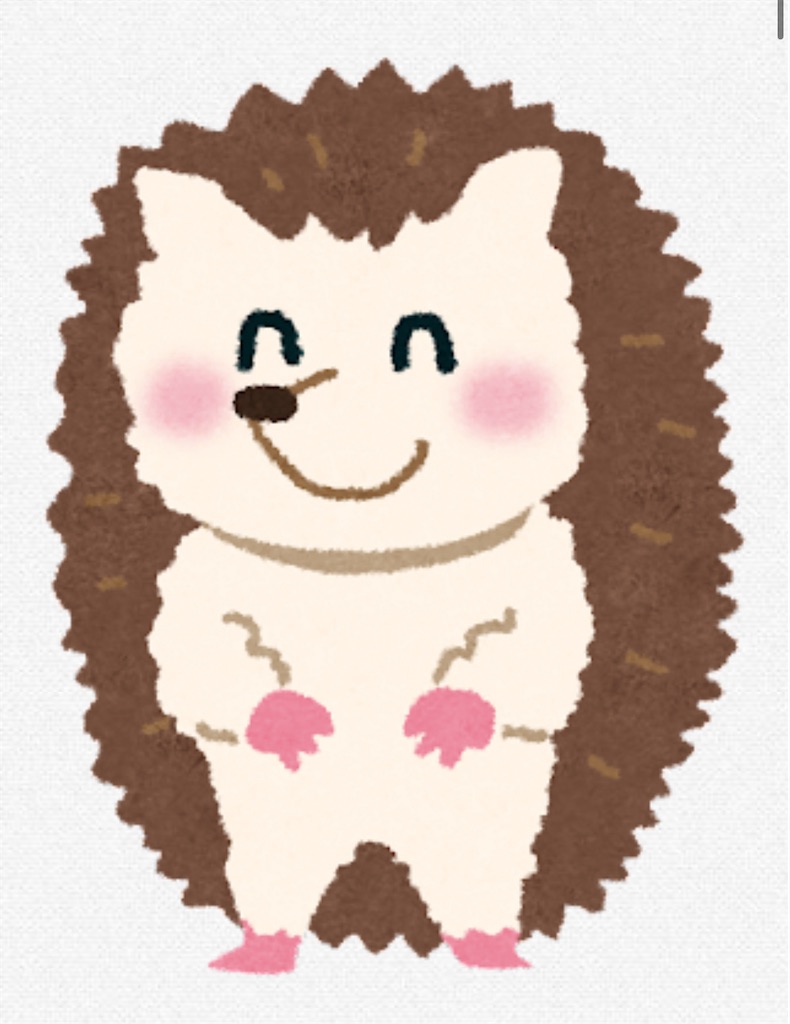 f:id:chankotochan:20240314100815j:image