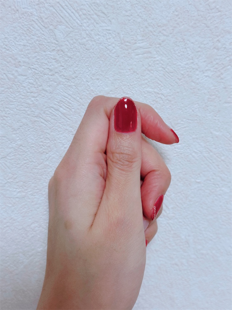 f:id:chankotochan:20240413101528j:image