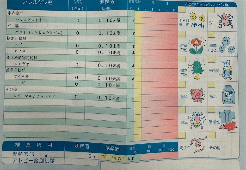 f:id:chankotochan:20240418164802j:image
