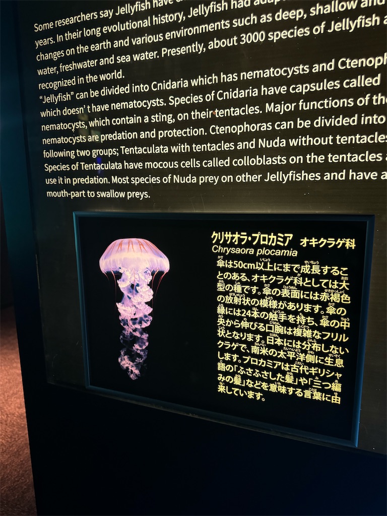 f:id:chankotochan:20240918090821j:image f:id:chankotochan:20240918090821j:image