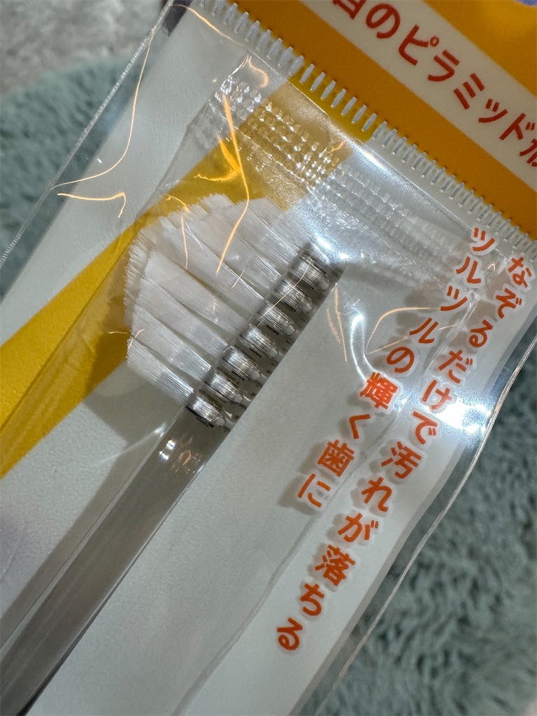 f:id:chankotochan:20241002083331j:image