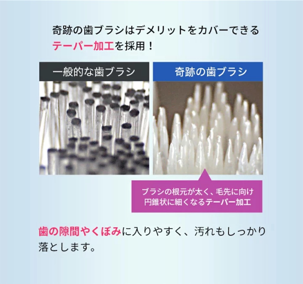 f:id:chankotochan:20241002083643j:image