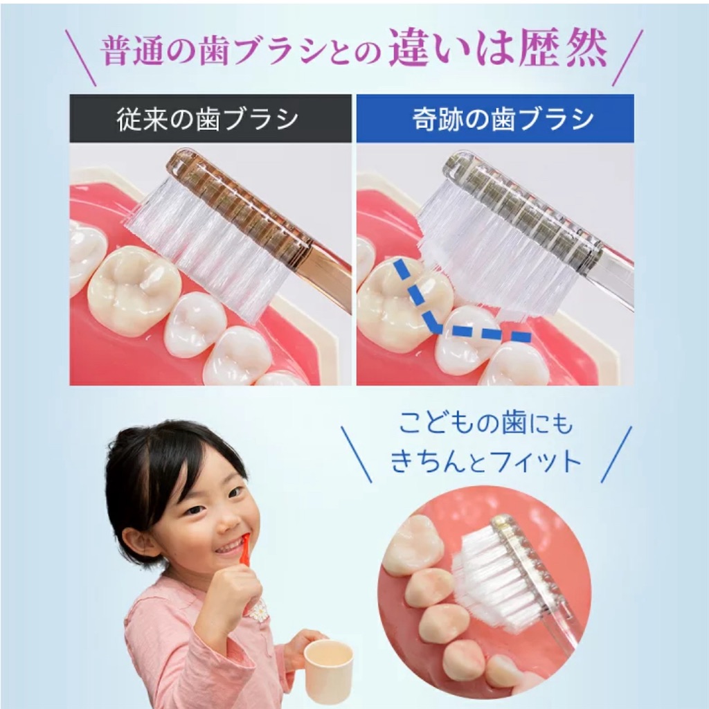 f:id:chankotochan:20241002083650j:image
