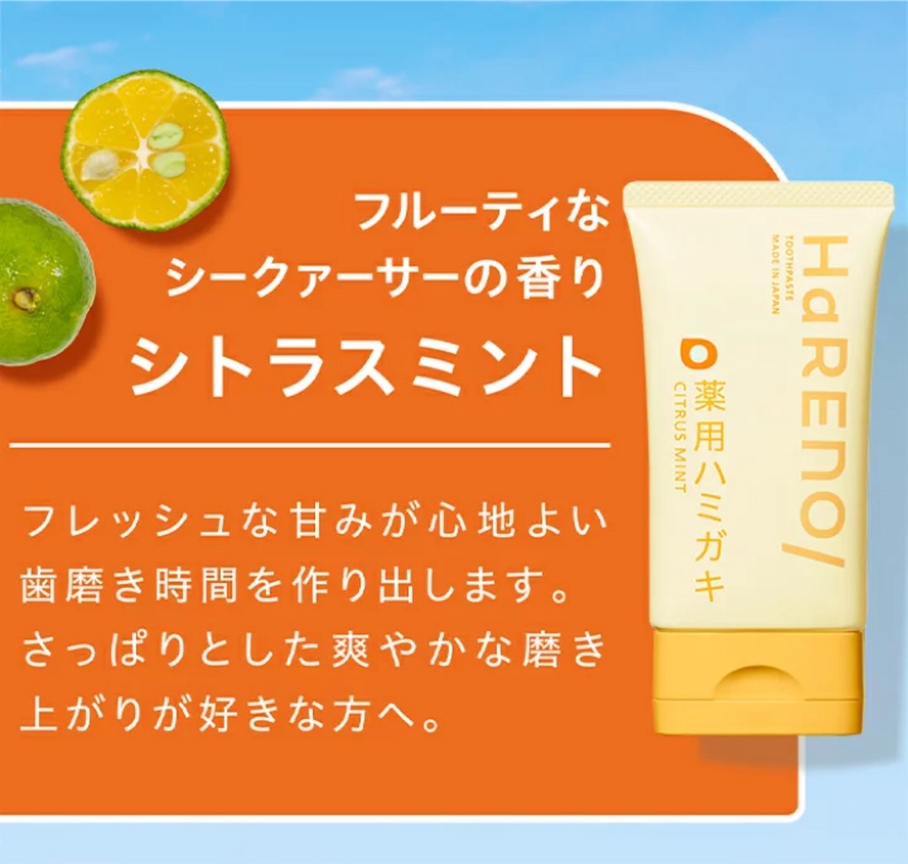 f:id:chankotochan:20241002083653j:image