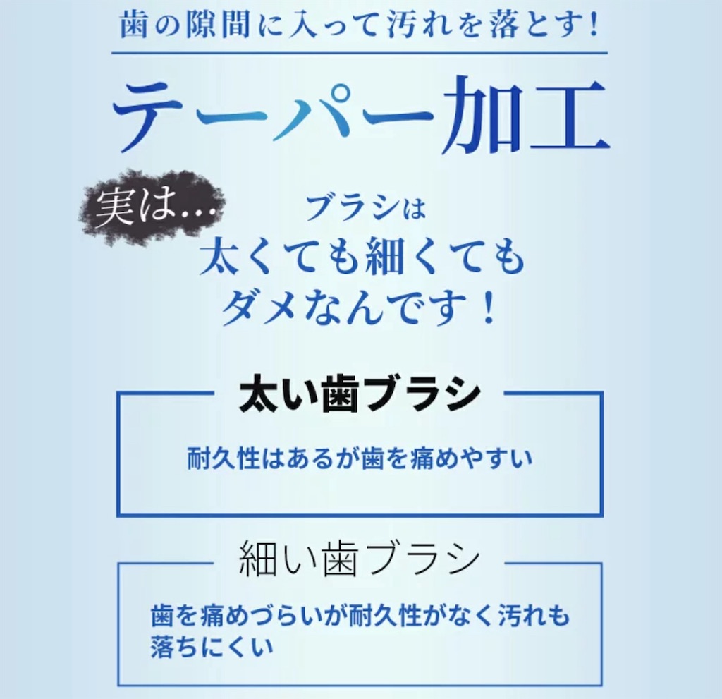 f:id:chankotochan:20241002083657j:image