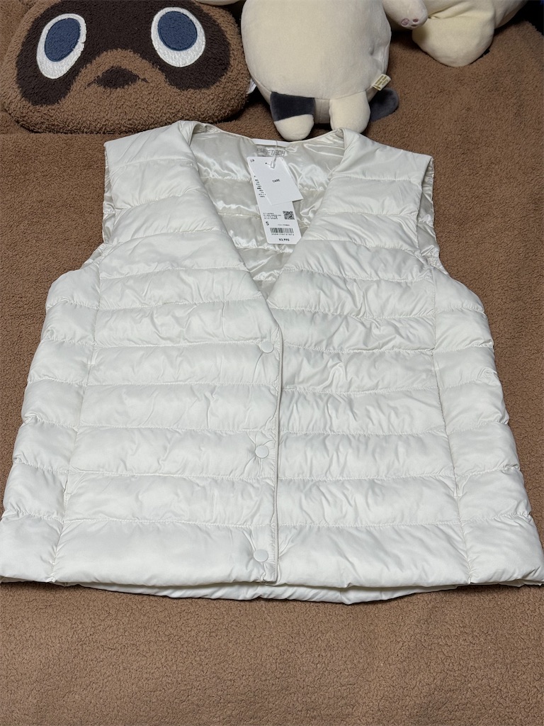 f:id:chankotochan:20241014005121j:image f:id:chankotochan:20241014005121j:image