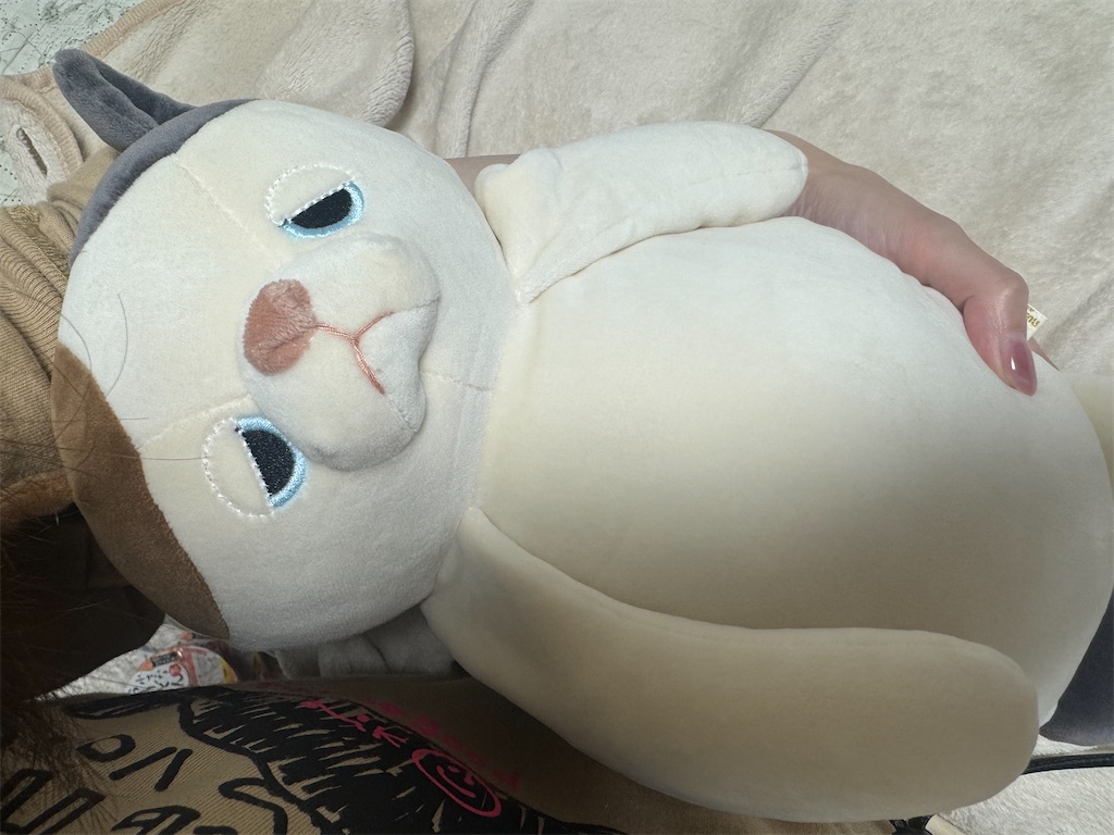 f:id:chankotochan:20241021224307j:image f:id:chankotochan:20241021224307j:image
