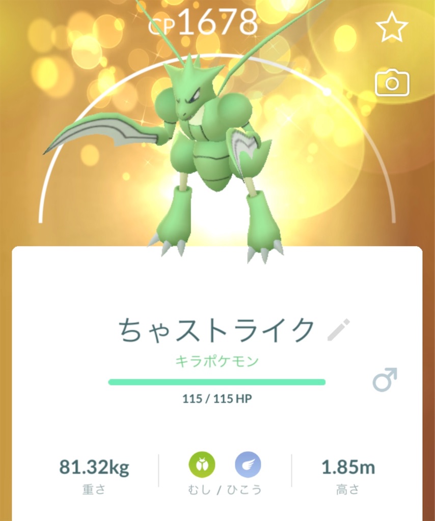 f:id:chankotochan:20241023085129j:image